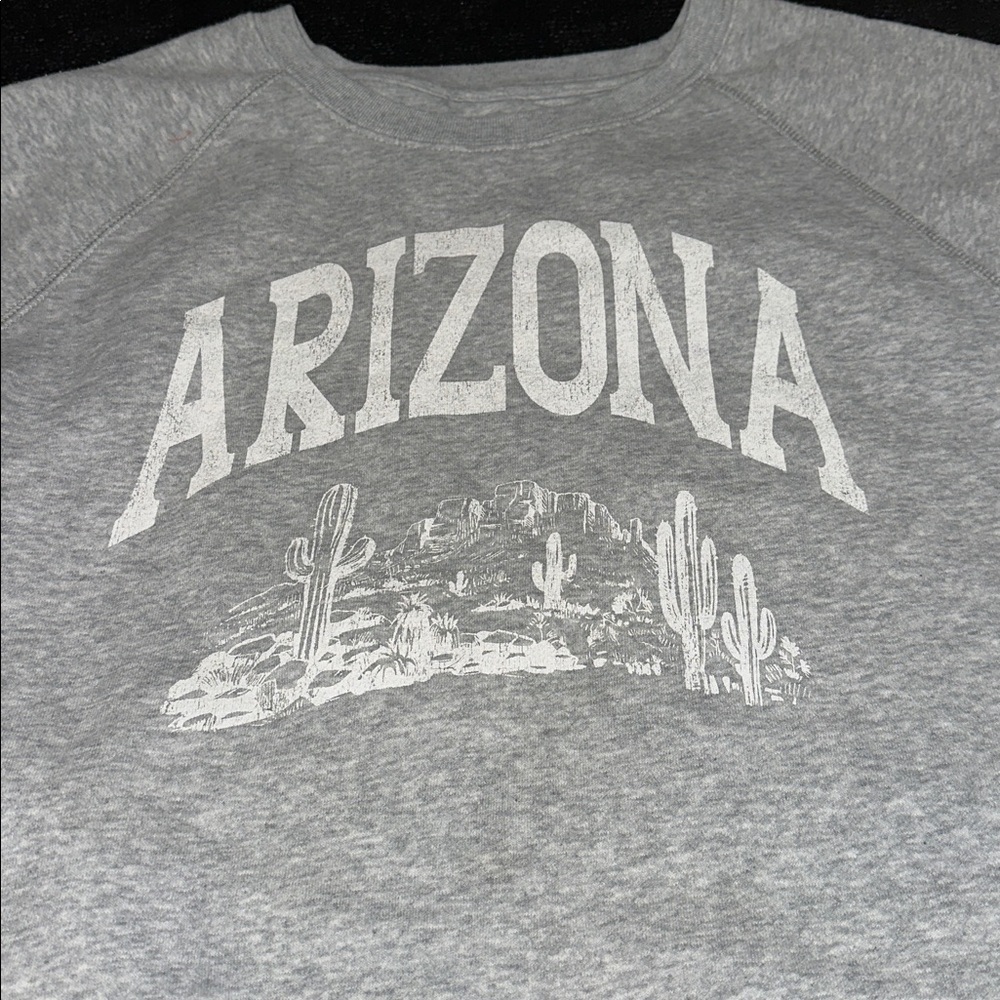 Y2K Gray Arizona Sweatshirt size medium - Picture 2 of 5
